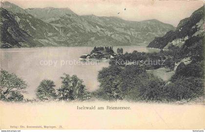 Iseltwald Brienzersee Interlaken BE Iseltwald Brienzersee See Halbinsel Berge Wa