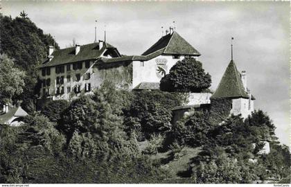 Laupen BE Schloss