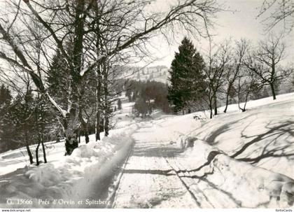 Pres-d Orvin BE et Spitzberg