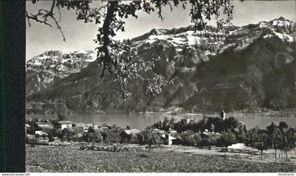 Ringgenberg Ringgenberg