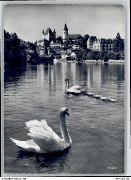 Thun