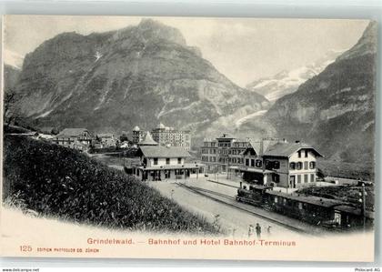 3818 Grindelwald - Bahnhof Hotel Bahnhof und Terminus - 10621520