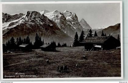 6083 Hasliberg Hohfluh - Hasliberg Gummenalp mit Wetterhorn Kühe - 10393389