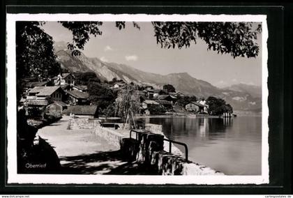 AK Oberried am Brienzersee, Uferpartie mit Bergen