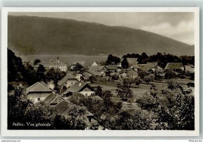 2515 Prêles - 13149681