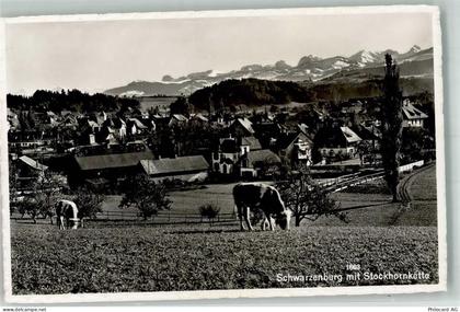 3150 Schwarzenburg Foto AK - 38021927