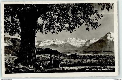 3612 Steffisburg Foto AK Blick auf Steffisburg - 51674606