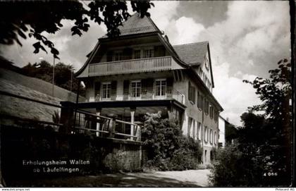 4448 Läufelfingen Dietisberg b. Läufelfingen - 50471084