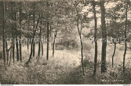 Birsfelden Waldlichtung