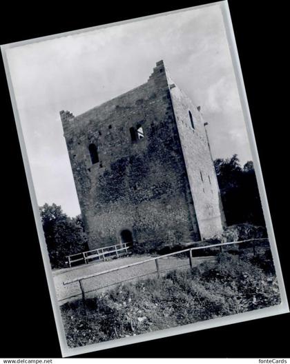 Muttenz Ruine Wartenberg