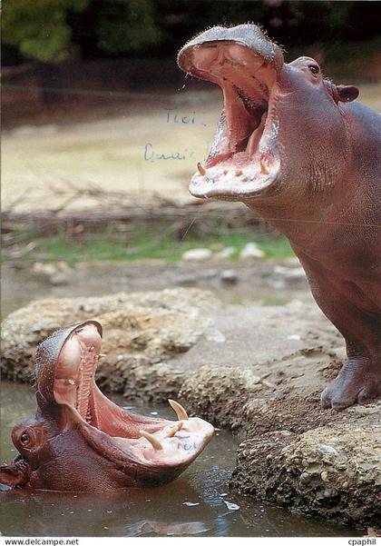 CPM Zoologischer Garten