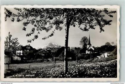 10395218 - Marsens