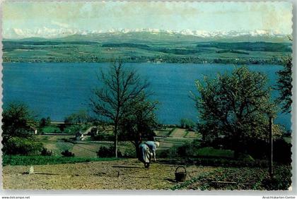 39493248 - Murten Morat