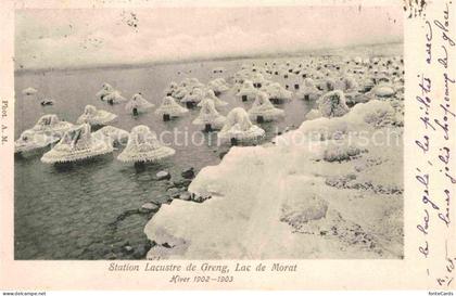 Greng Lac de Morat Hiver 1902-1903