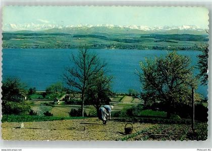 3280 Murten Morat - Murtensee - 39493246