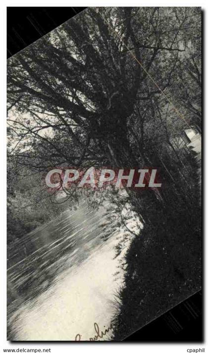 CPA Geneve Le sentier des saules