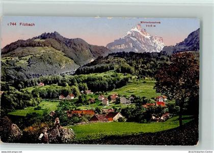 11088986 - Filzbach