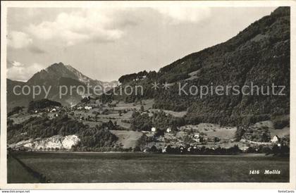 Mollis