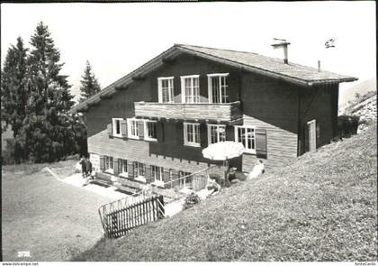 Mollis Mullern-Mollis  x 1977