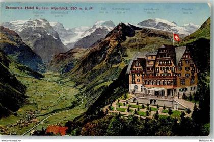 8784 Braunwald - 10203820