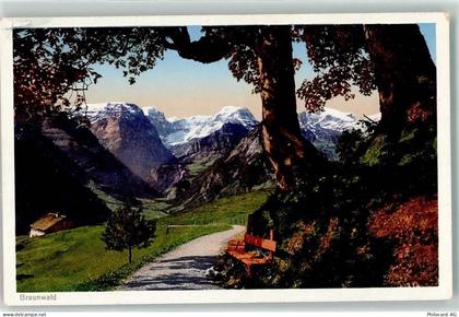 8784 Braunwald - 10620008