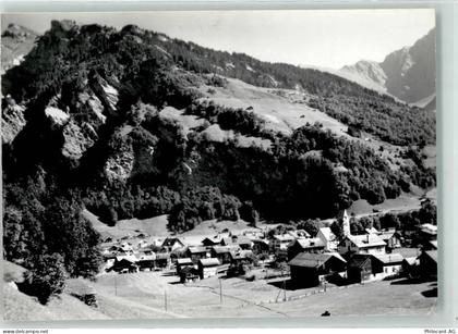 8767 Elm - Fahnenstock - 39410951