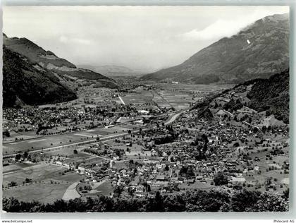 8753 Mollis Foto AK - 39699477