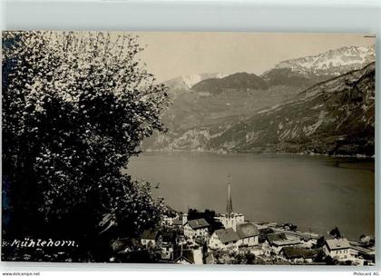 8874 Mühlehorn - 10592753