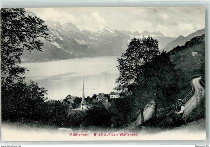 8874 Mühlehorn 1905 - 10592827