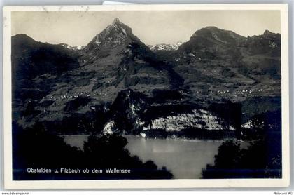 8758 Obstalden - Wallensee - 51293801