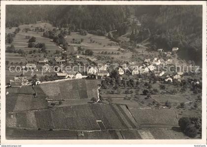 Jenins Fliegeraufnahme