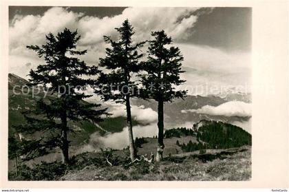 Malix GR Spontiskoepfe