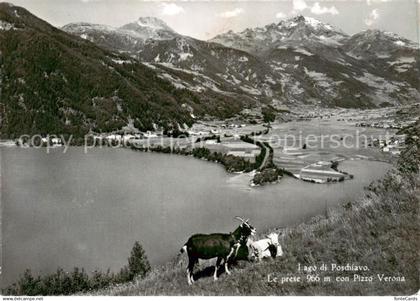 Poschiavo GR Lago di Poschiavo Le prese con Pizzo Verona