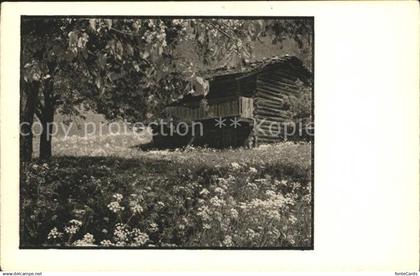 Schiers Blockhaus