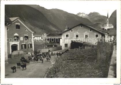 Zernez GR Dorfpartie Alt Zernez Ziegen