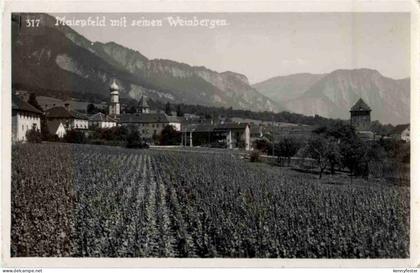 Maienfeld mit Weinbergen