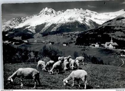 7133 Obersaxen Affeier - Schafe, Egga - 50799545