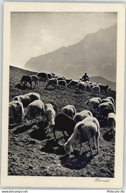 7220 Schiers - Schäfer mit Herde - 51314063