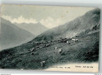 7106 Tenna 1907 Foto AK Alp - 38057802