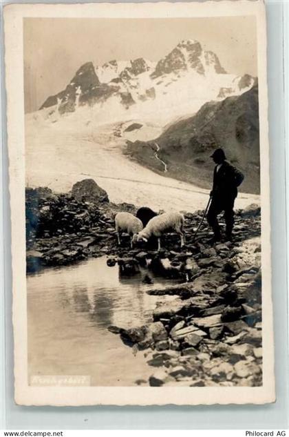 7530 Zernez - Flüela Hospiz Schafe - 39505278