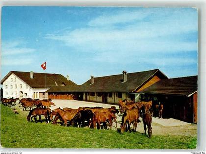 2345 Les Breuleux - Pferde Stallungen Pferdehof Le Roselet - 39695501