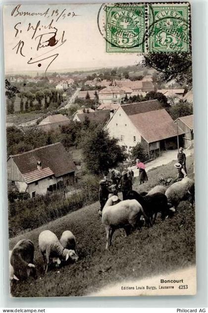 2926 Boncourt 1907 - Schafherde - 13935387