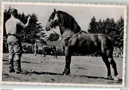 2350 Saignelégier Foto AK Marché -concours - 10741546