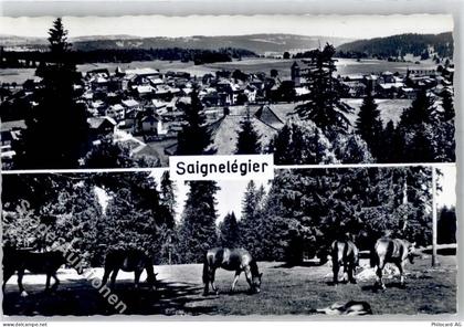 2350 Saignelégier - Pferde Pferdekoppel - 51796512