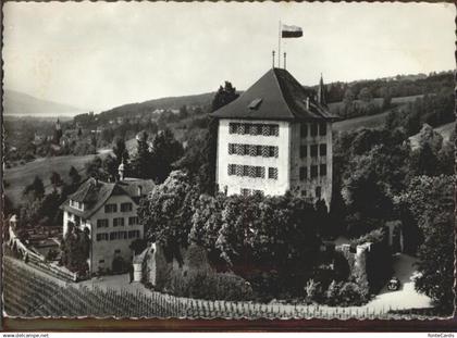 Gelfingen Schloss Heidegg   Fliegeraufnahme