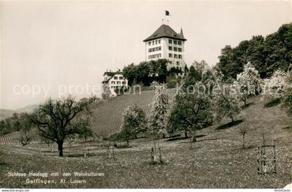 Gelfingen Schloss Heidegg mit den Weinkulturen Feldpost