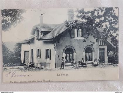 la sauge