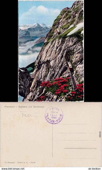 Luzern Lucerna Pilatusbahn - Eselwand und Berneralpen 1965