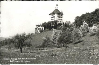 Schloss Heidegg bei Gelfingen x 1962