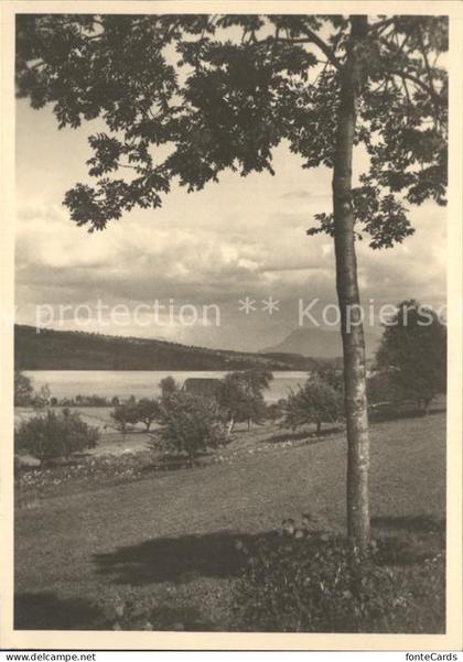 Sursee Am Sempachersee